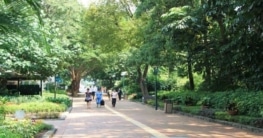 Der Kowloon Park